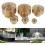 Brass Water Fountain Sprinkle Spray Head(3/4) 4