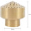Brass Water Fountain Sprinkle Spray Head(3/4) 2