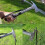 camping hammer,tent nail puller,aluminum hammer with nail puller 4