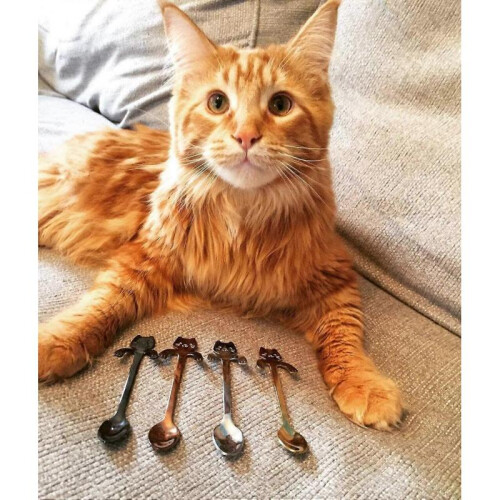 4 Pcs Spoon Cat Spoon Stainless Steel 2
