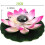 Lotus Light, Solar Floating Pool Decor LED Color Changing Night Light 2