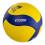 Professional V330W Volleyball Size 5 Ball 2