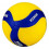 Professional V330W Volleyball Size 5 Ball 1