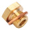 Pressure Temperature Gauge Sender Adapter 1/8in 2