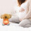 (BW) Plush Koala Toys for Kids 5