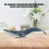 Fish Model Home Decor Educational Kid Cute 8