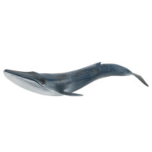 Fish Model Home Decor Educational Kid Cute