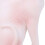 Simulation Hairless Cat Model Home Ornaments 12