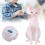 Simulation Hairless Cat Model Home Ornaments 10