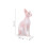 Simulation Hairless Cat Model Home Ornaments 14