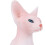 Simulation Hairless Cat Model Home Ornaments 11