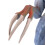 Mini Sickle Dragon Shape Movable Jurassic Figure 15