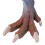 Mini Sickle Dragon Shape Movable Jurassic Figure 13