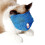 Größe S blauer Katzenmaulkorb, verstellbare Netzhaube 4