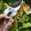 Heavy Duty Hand Pruning Shears Gardening Scissors 3