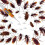5pcs Cockroach Gel Bait, Cockroach Bait Gel, Cockroach Roach Killer, Professional Cockroach Control 5