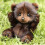 Alpaca fur plush teddy bear 5