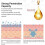 (2pcs) Retinol Firming Serum Anti-Ageing 15ml 3