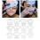12 Gesichtsschablonen-Sets MS-01-MS-12 PET wiederverwendbar 14
