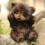 Handmade Alpaca Wool Plush Teddy Bear - Fully Jointed And Super Soft - 9.84 Inch 2