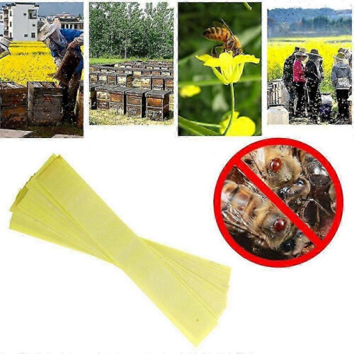 20 Pcs Bee Mite Acaricide Strip Beekeeping Bee Varroa Mite Killer Pest Control 1