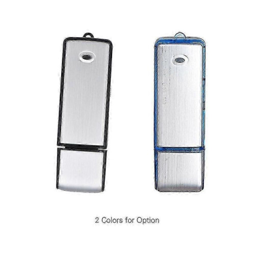8gb Usb Digital Audio Voice Recorder Usb Disk Flash Drive Memory Stick 1