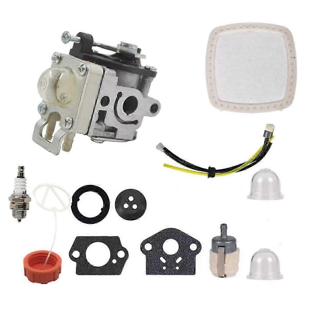 Leaf Blower Carburetor with Air Filter A021004700 A021000722 for PB2520 Carburetor-image-OPC-PJJN7SD-NEW