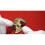 Emblem, Abzeichen, Logo, Porsche Motorhaube, Metall -CAN 4