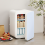 ELECWISH (20L White) Tabletop Mini Fridge Electric Cooler Warmer AC/DC 11