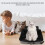 Collapsible Cat Litter Box for Camping with Easy Clean Liner 11