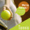 Tennis Ball 7