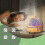 Mini Humidifier 180ML USB Electric Essential Oil Diffuser, for Home, Office, Bedroom, Auto 2