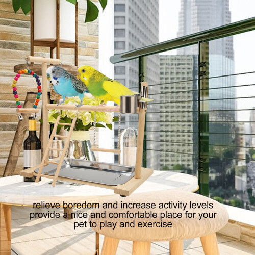Complete Bird Playground with Accessories for Fun Climbing & Resting 2