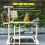 Complete Bird Playground with Accessories for Fun Climbing & Resting 4