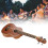 30in Ukulele Rosewood 4 String Easy to Play 12