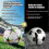 (Colored stars)Pu Soccer Ball for Training Number 5 4