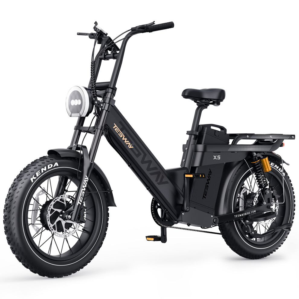 Step-Thru Cargo E-Bike 3000W Dual Motor, 200 Miles Range, 52V 60Ah-image-OPC-PJJQWD5-NEW