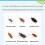 Cockroach Gel Bait Roach Control, Pest Killer with Plunger Tip for Floor Kitchen(1pcs) 2