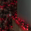 1000 Christmas Berry String Lights in Red with Multi-Action LEDs 1