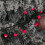 1000 Christmas Berry String Lights in Red with Multi-Action LEDs 4