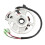 Magneto-Statorwicklung 0450523/0451000 Kupfer 50/90cc 13
