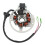 Magneto-Statorwicklung 0450523/0451000 Kupfer 50/90cc 12