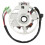 Magneto-Statorwicklung 0450523/0451000 Kupfer 50/90cc 9