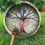 Shamanic Drum Bird Pattern Polyester Imitation 9