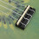 21in Ukulele with Carry Bag Tropical Fruit Pattern 11