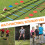 Speed Agility Train Kit, 19Ft Flat Ladder 10pcs 8