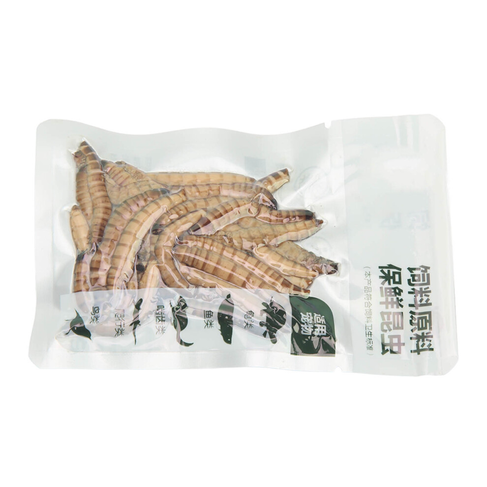 Natural Reptile Mealworms Food for Turtles Fish Birds Rodents 100g