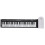 Electric Piano Keyboard 49 Keys Portable Folding 9