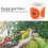 5CM Bright Orange Self-Adhesive Target Stickers - 250 Roll for Shooting 13