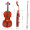 Viola Beginner with Bow Case Rosin Natural Color 14